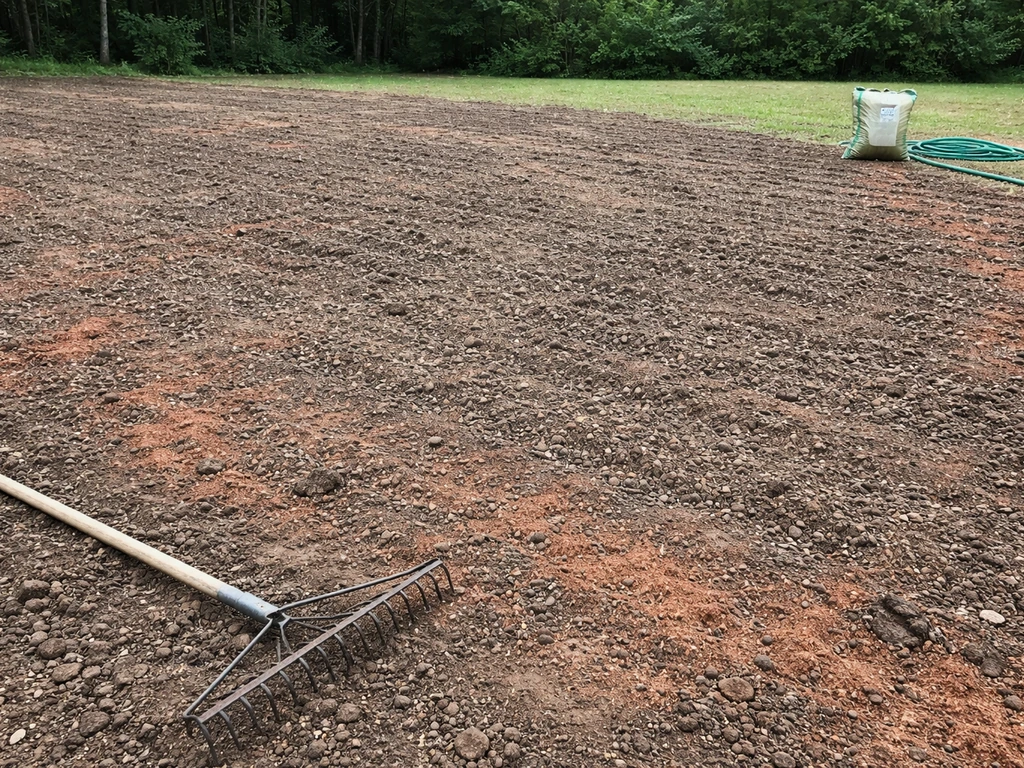 How to Grow Grass on Red Clay Soil: Step-by-Step Guide